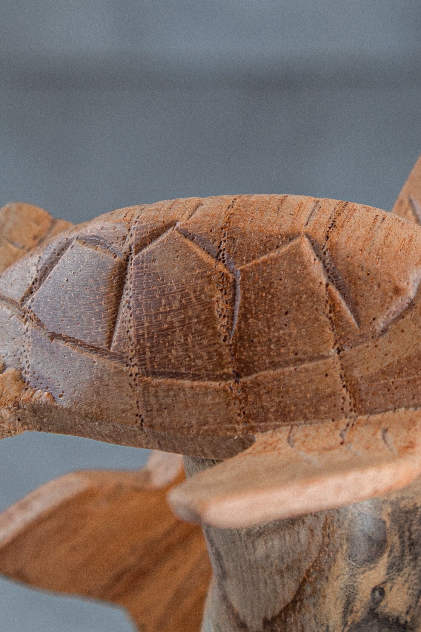 Wood Turtle Sculpture: Ocean Home Decor (8")