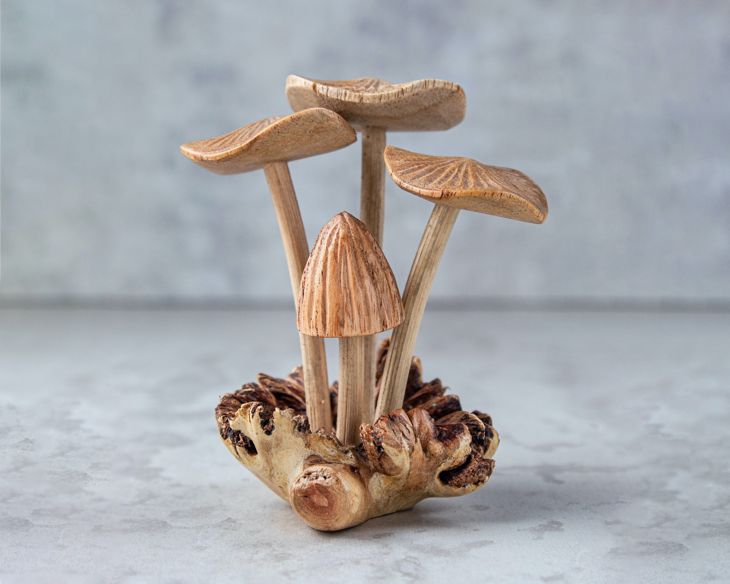 Wooden Mushroom On Base