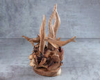 Hand-Carved Dolphin and Seaweed Wooden Sculpture from Parasite Wood