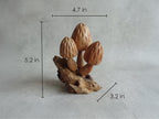 Morel Mushroom Sculpture