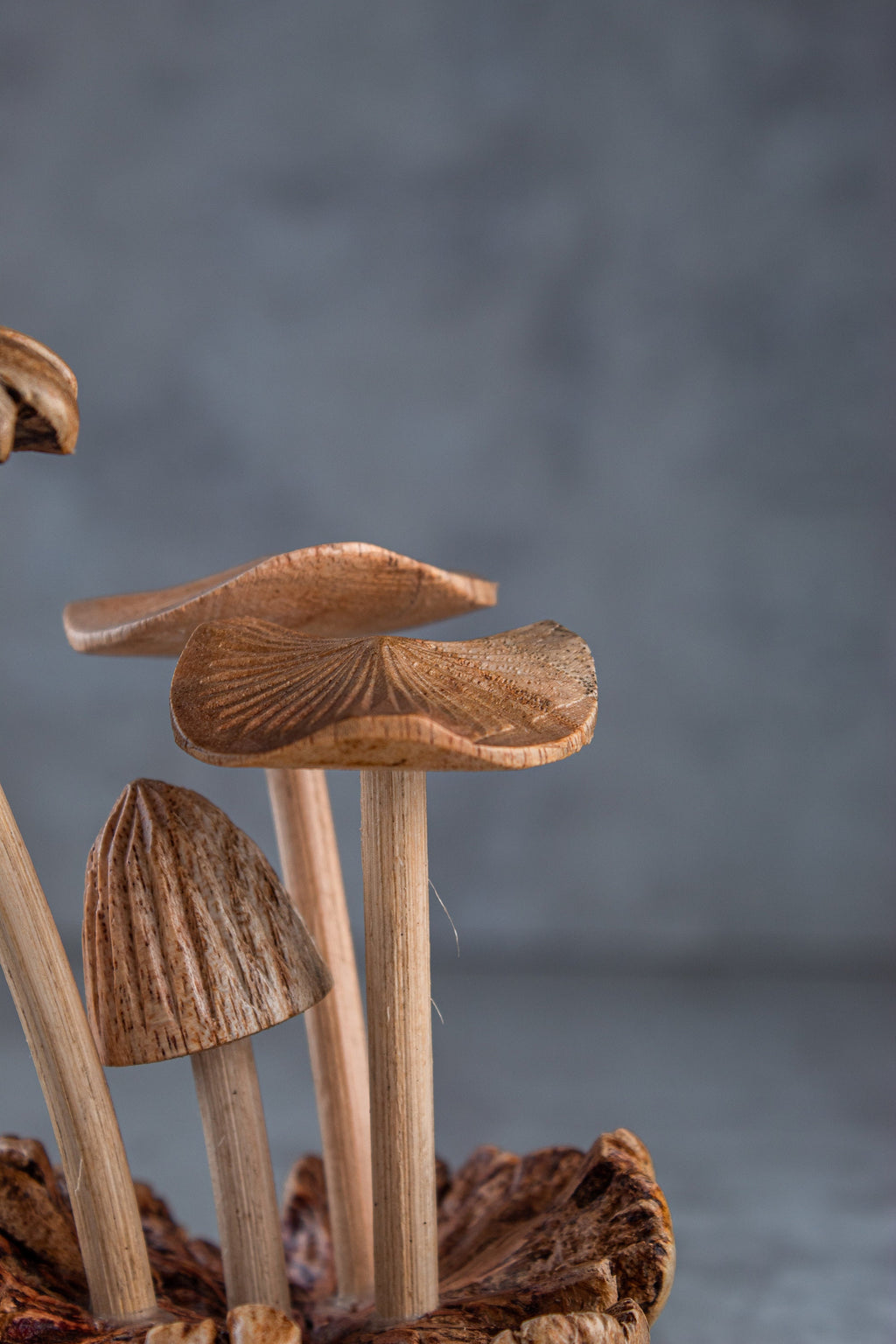 Wooden Mushroom Small size