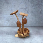 Mystery Mushroom — Buy 2, Get 1 Free