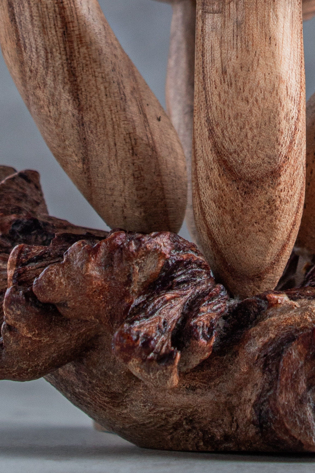 Jempinis Wood Mushroom (5")