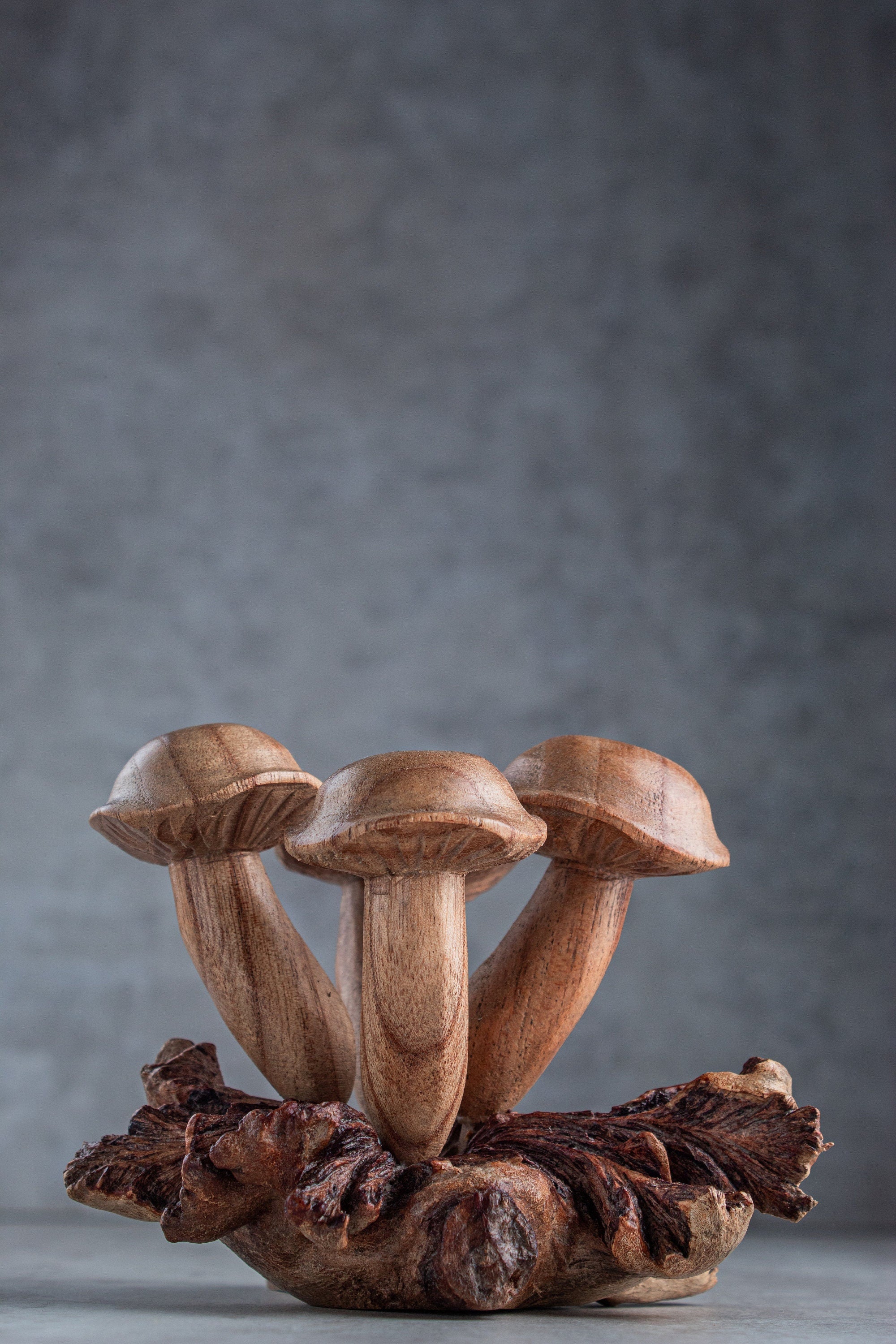Jempinis Wood Mushroom (5")