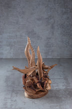 Hand-Carved Dolphin and Seaweed Wooden Sculpture from Parasite Wood