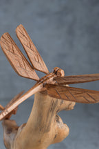Dragonfly 8"