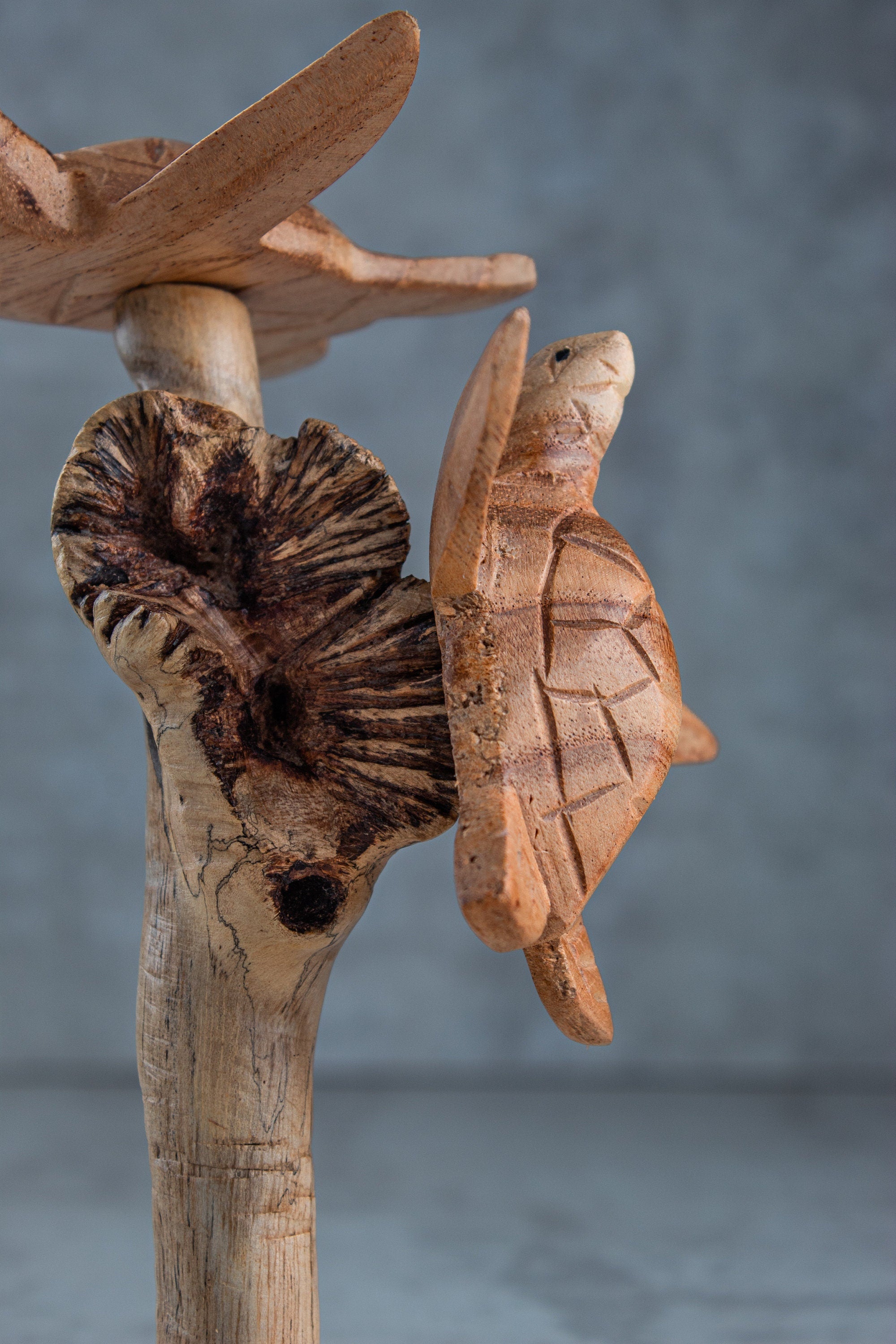 Wood Turtle Sculpture: Ocean Home Decor (8")