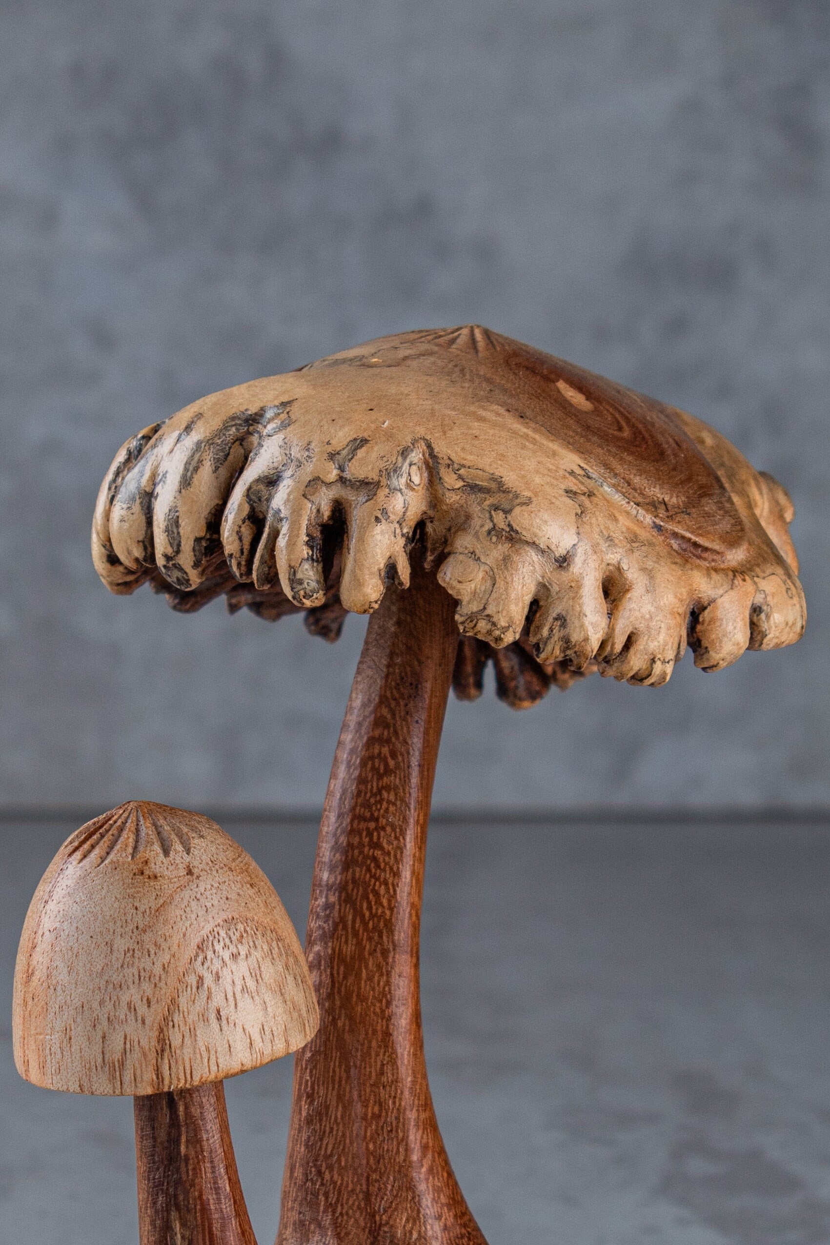 Mushroom Rustic (6")