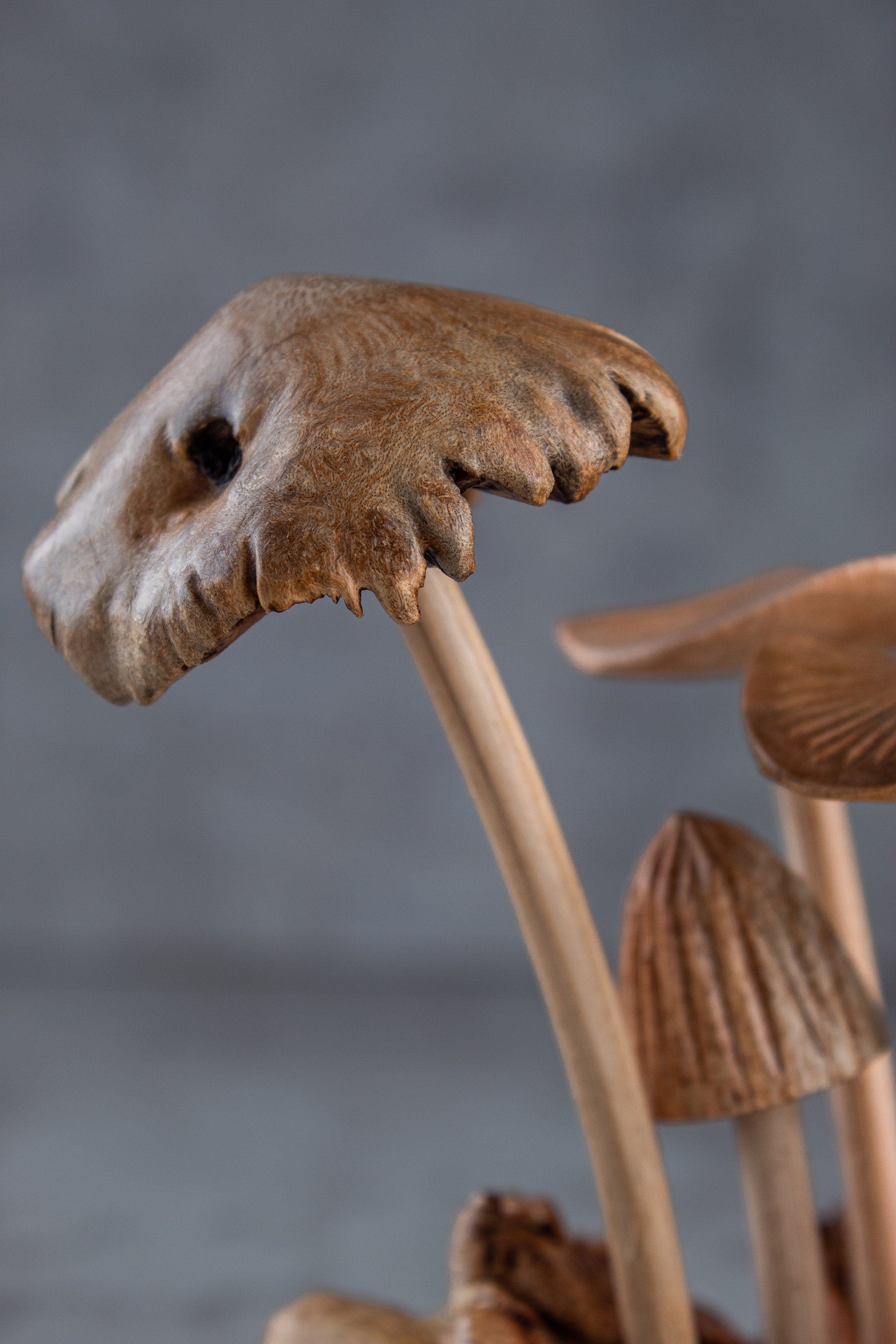 Wooden Mushroom Small size