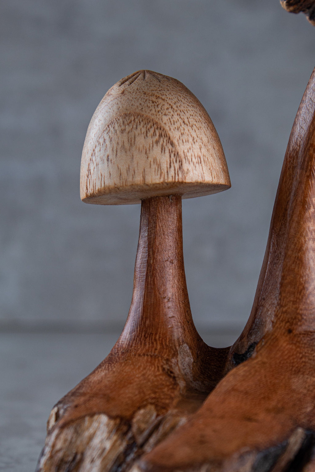 Mushroom Rustic (6")