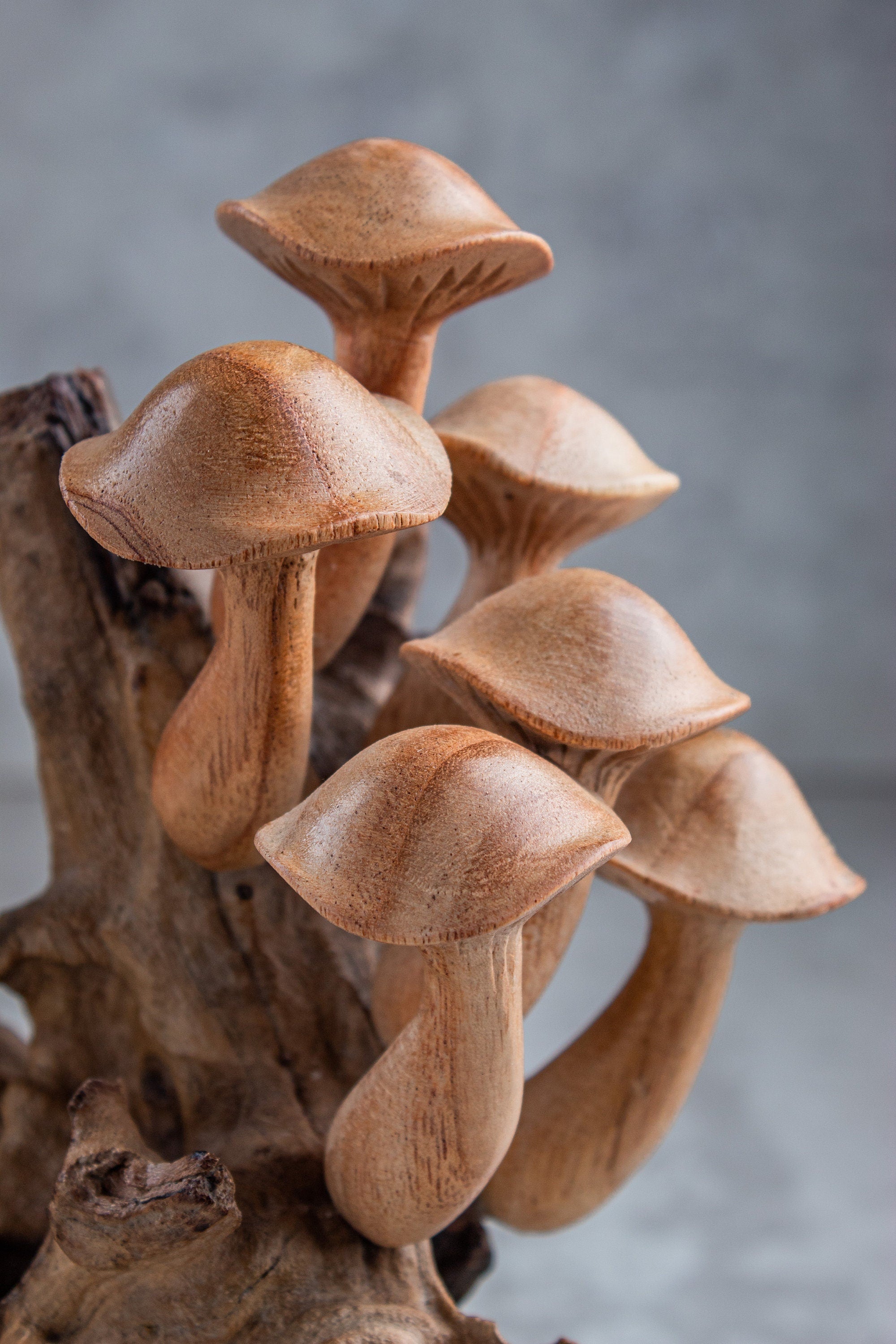 Wood Carving Mushroom