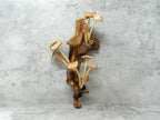 Hand-carved wooden mushroom wall sculpture