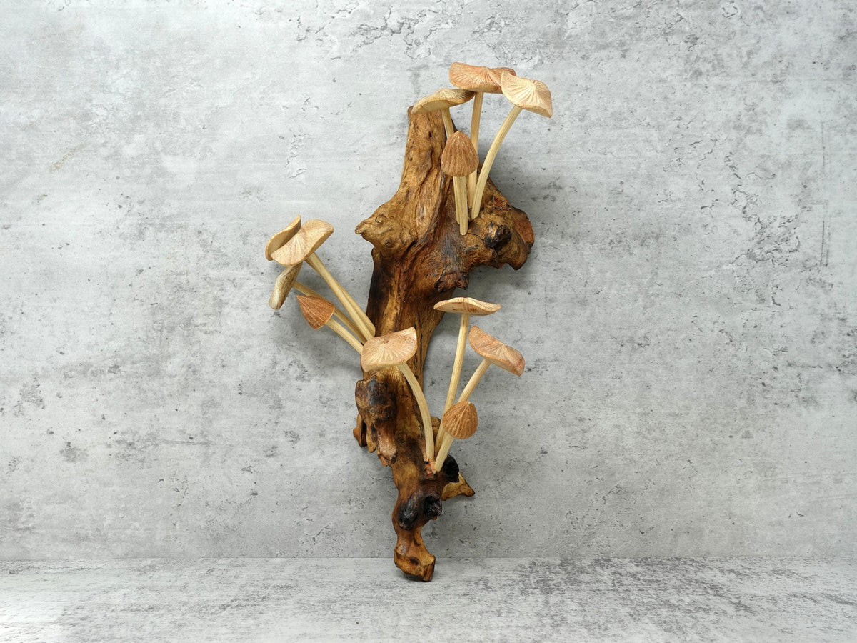 Hand-carved wooden mushroom wall sculpture