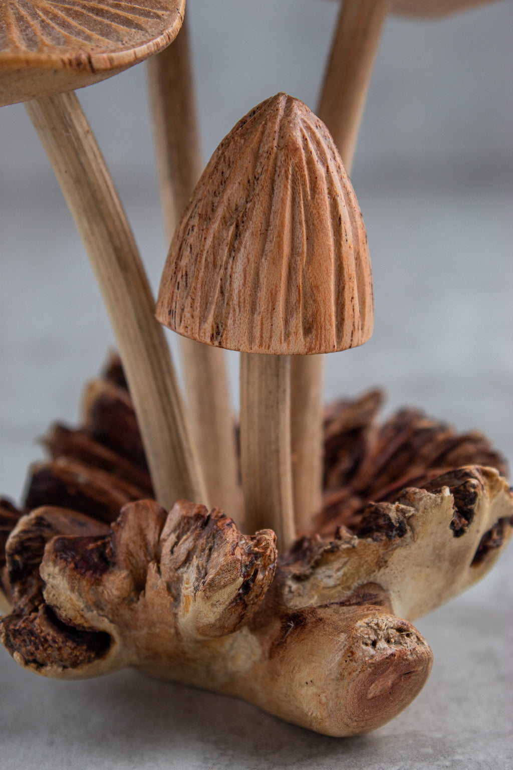 Wooden Mushroom On Base