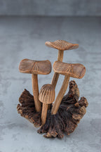 Jempinis Wood Mushroom 4.5"