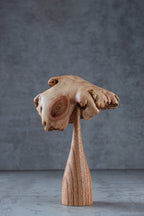 Mushroom (5")