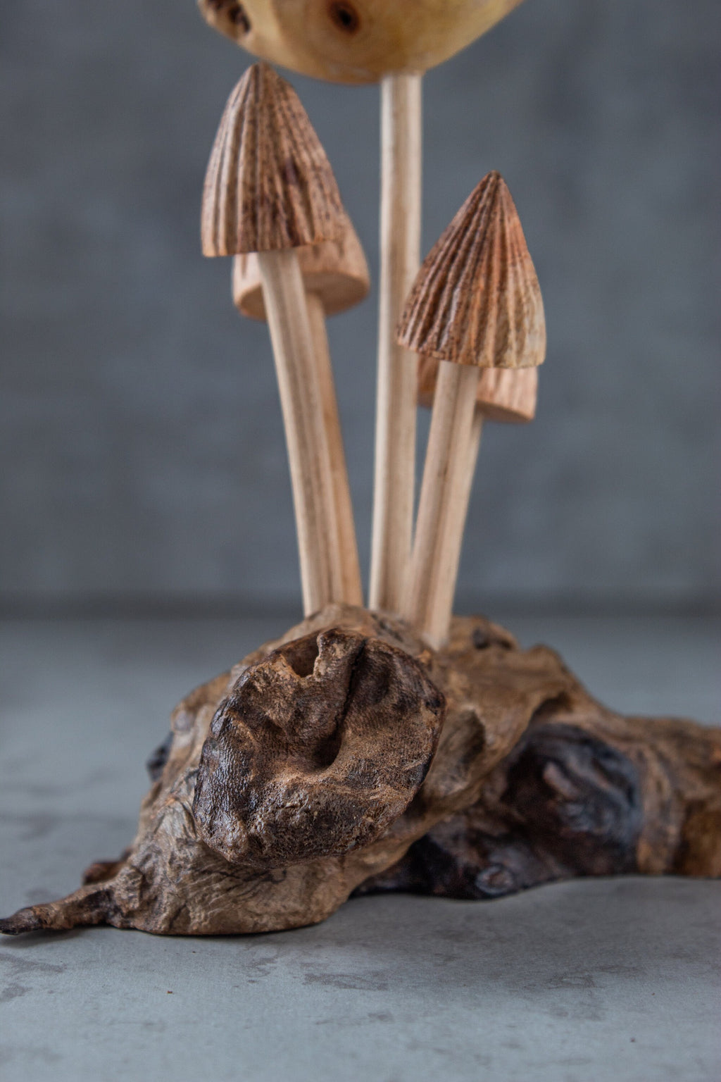 Dragonfly & Mushroom