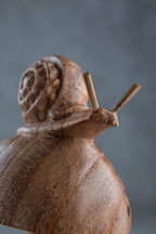 Snail on Mushroom