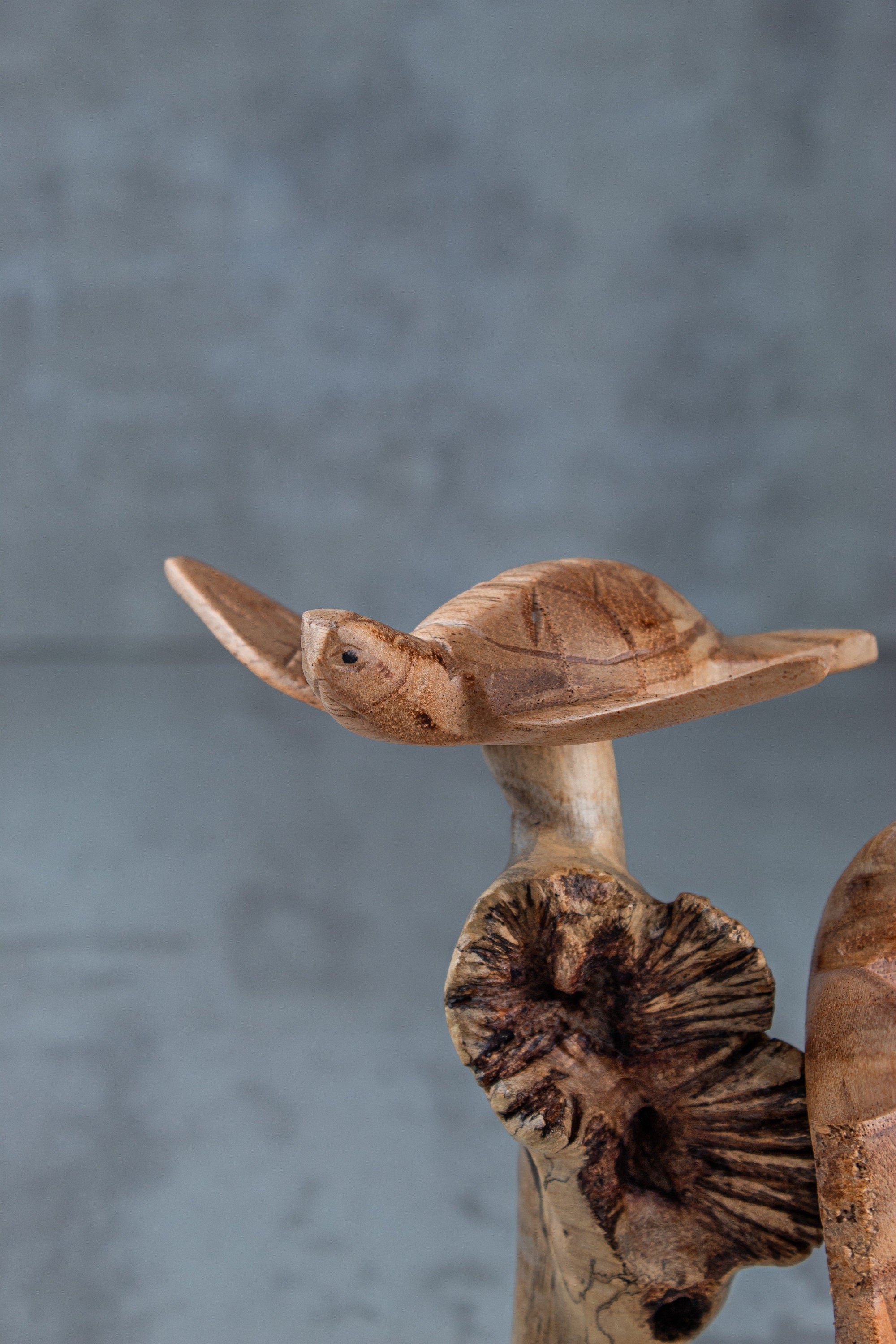 Wood Turtle Sculpture: Ocean Home Decor (8")