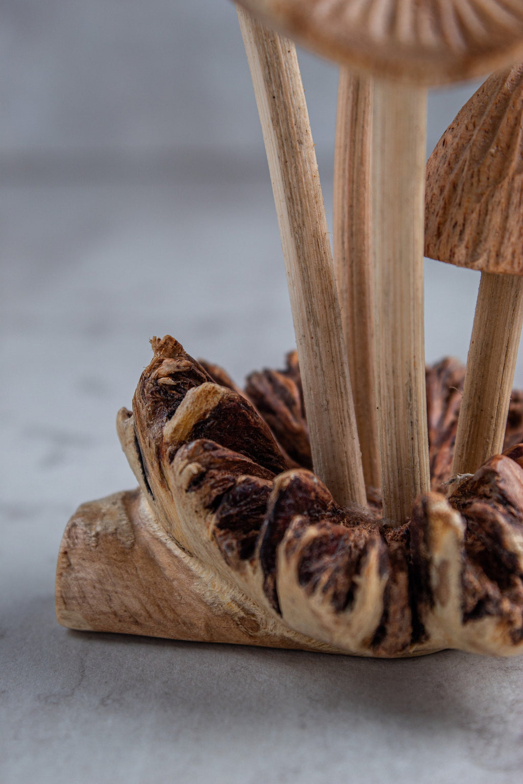 Wooden Mushroom On Base