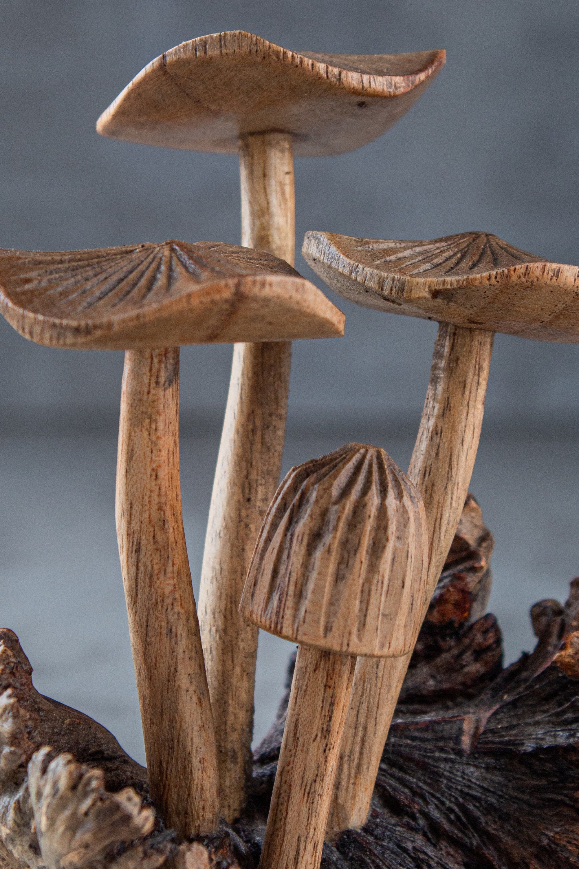 Jempinis Wood Mushroom 4.5"