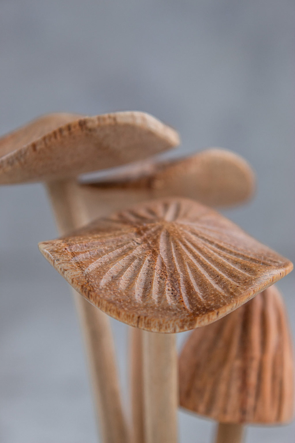 Wooden Mushroom On Base