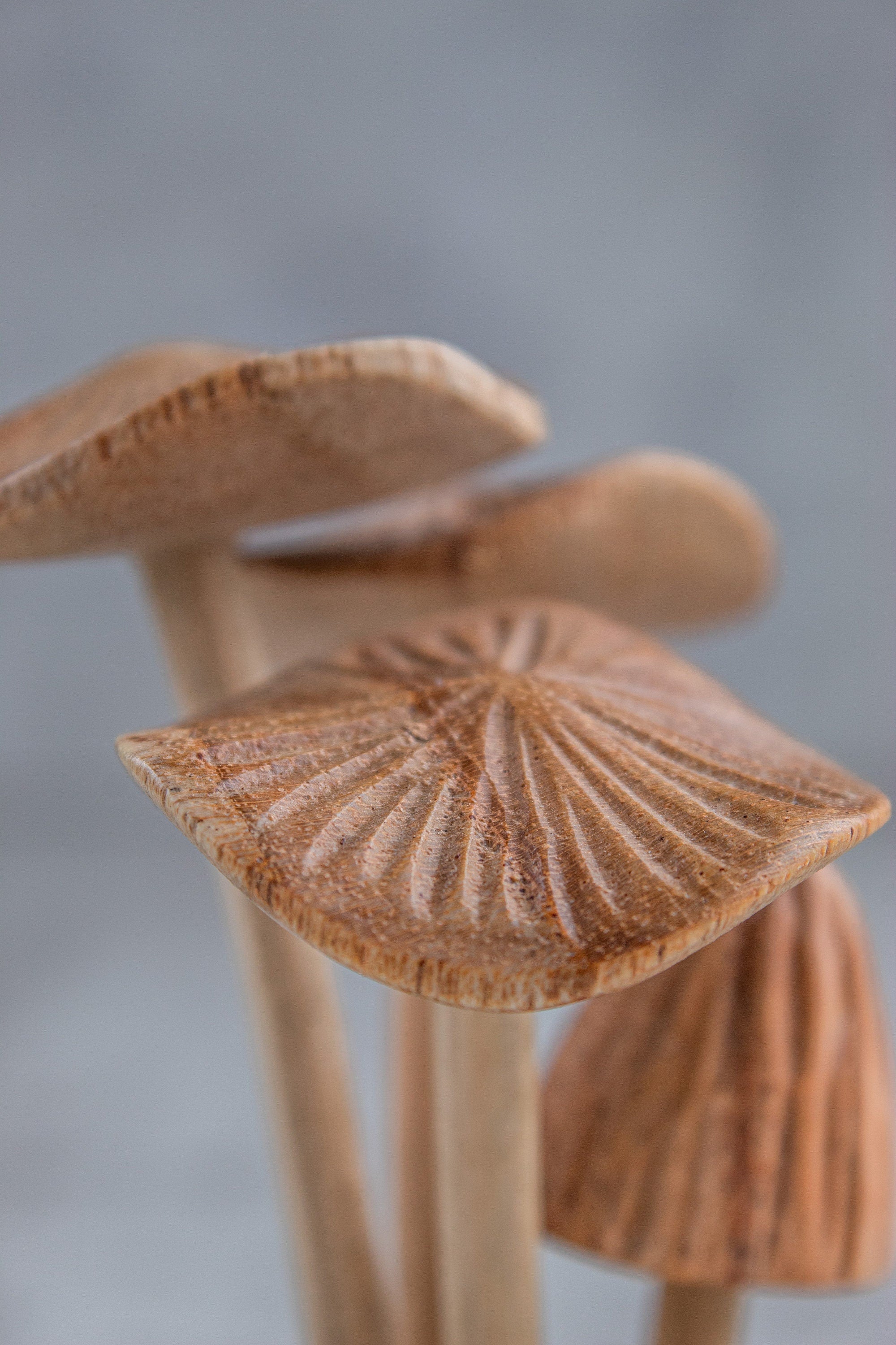 Wooden Mushroom On Base