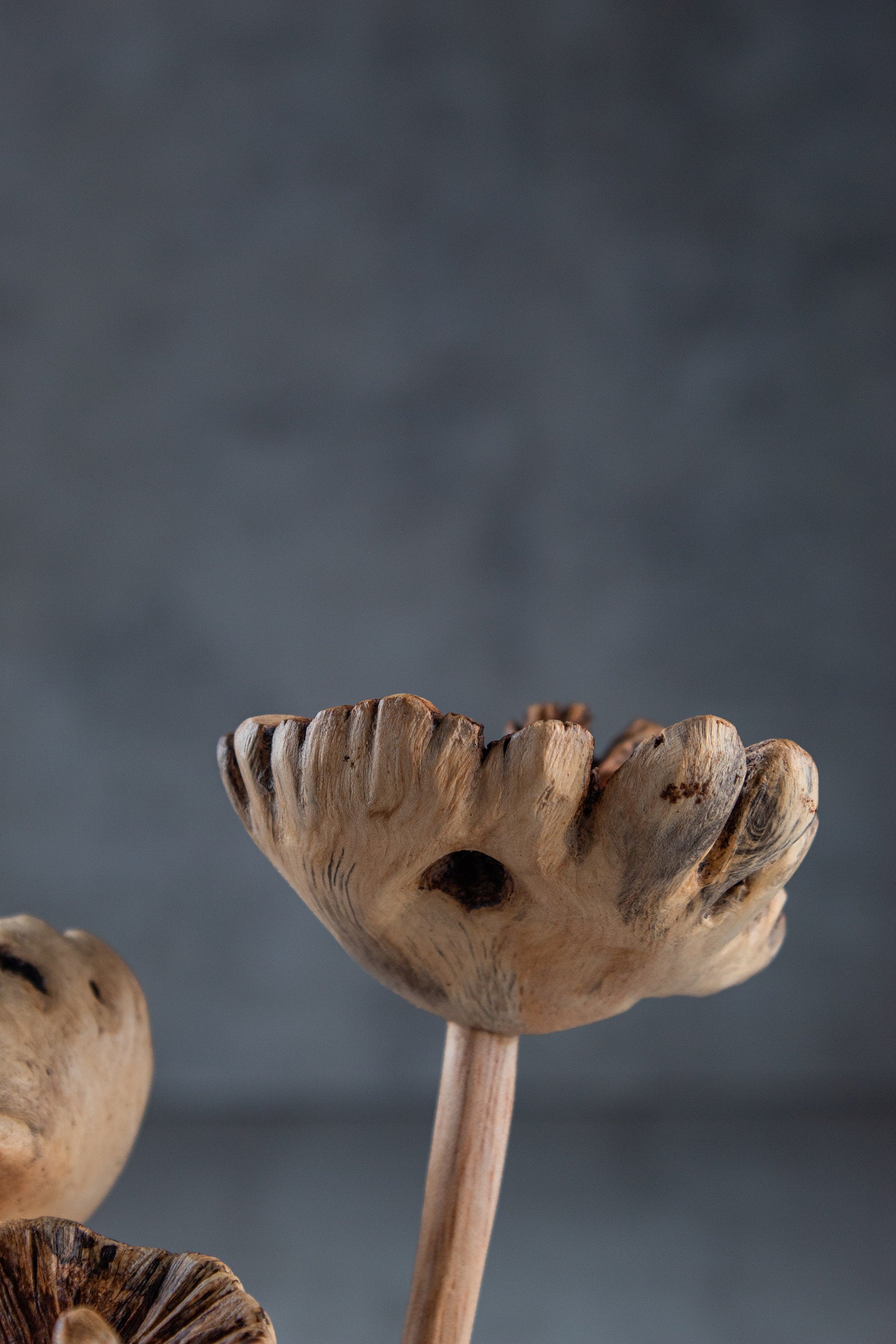 Wooden Mushroom Flower 6"