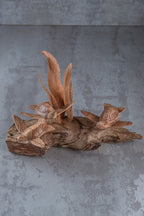 Turtle Sculpture