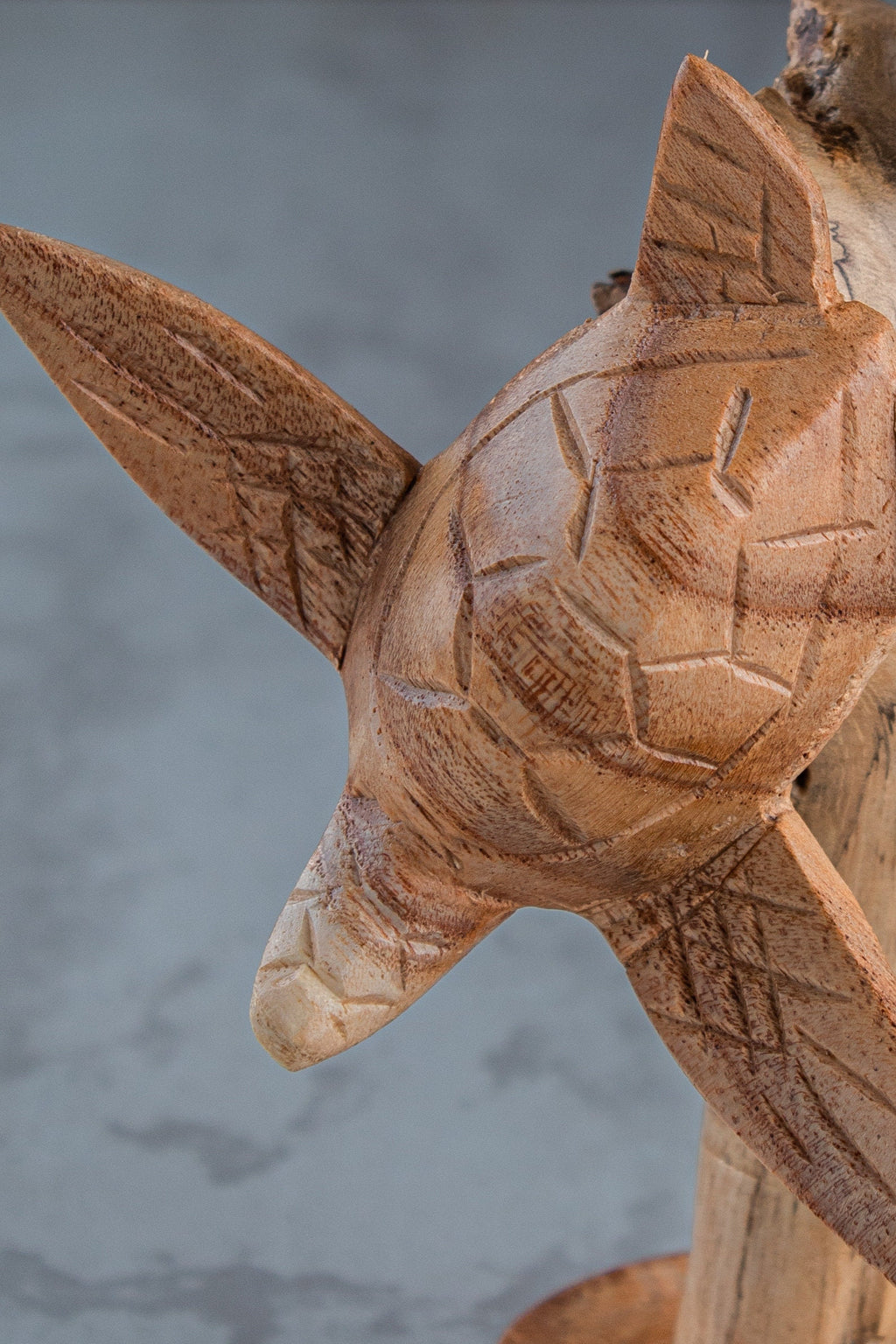 Wood Turtle Sculpture: Ocean Home Decor (8")