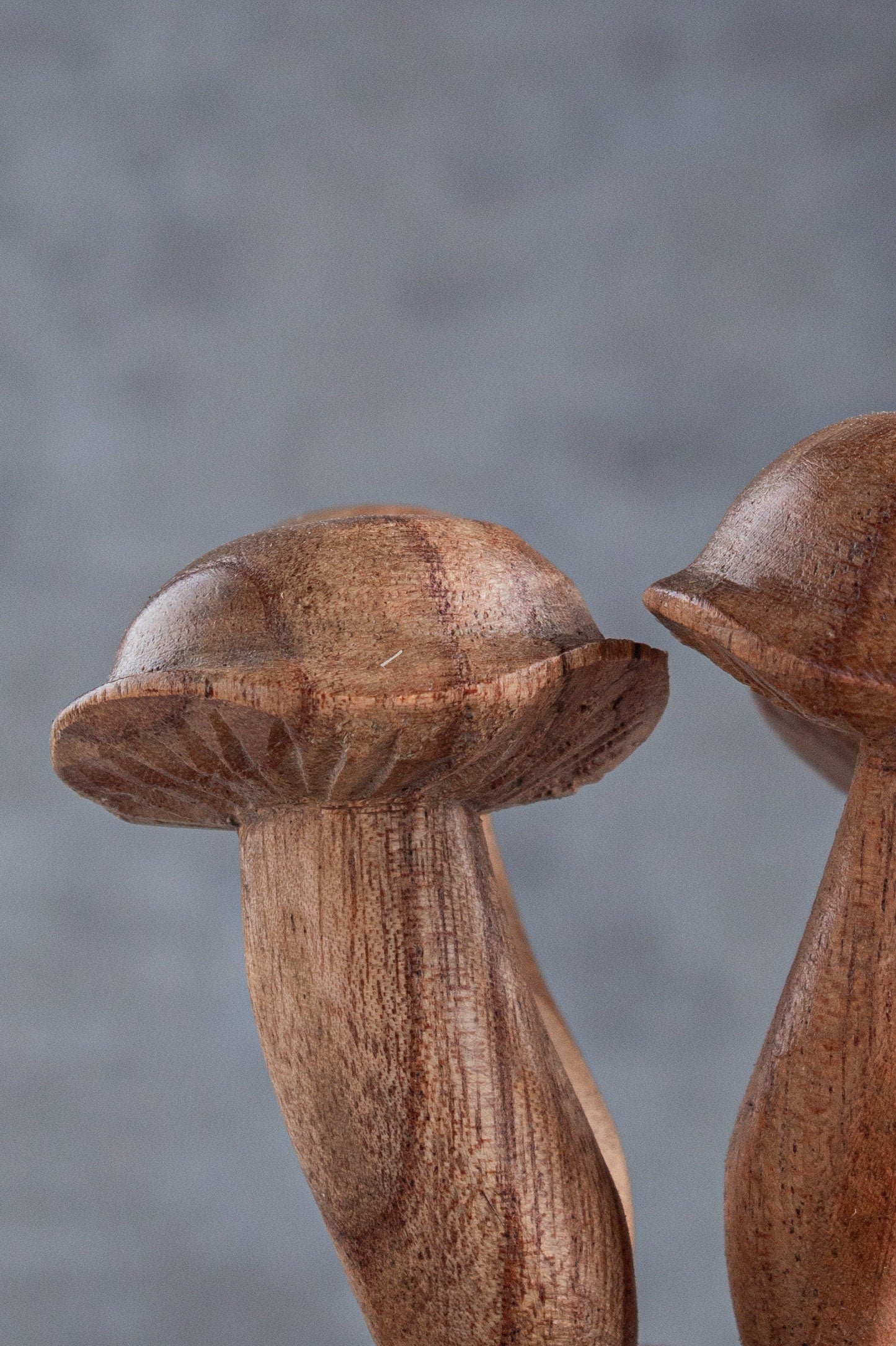 Jempinis Wood Mushroom (5")