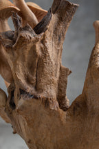 Wood Carving Mushroom