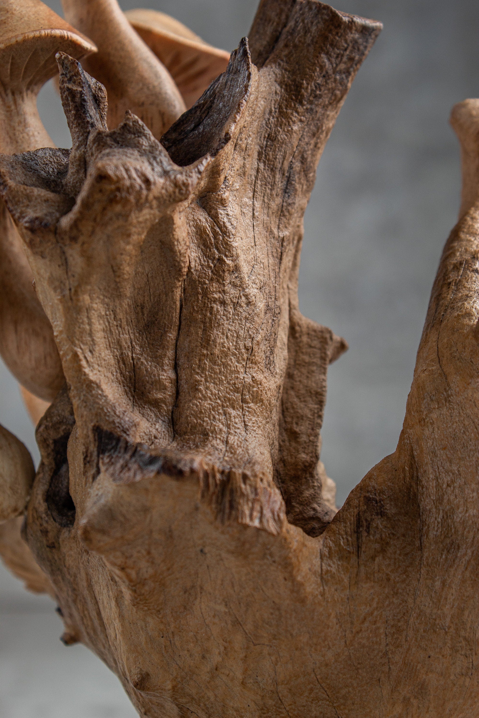 Wood Carving Mushroom