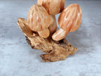 Morel Mushroom Sculpture