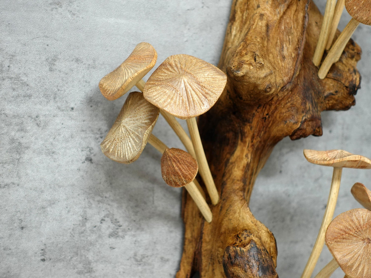 Hand-carved wooden mushroom wall sculpture