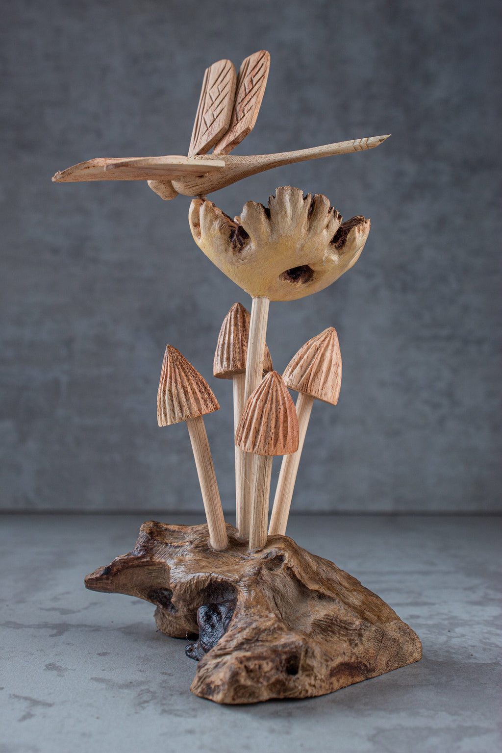 Dragonfly & Mushroom