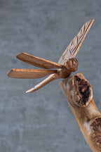 Dragonfly 8"