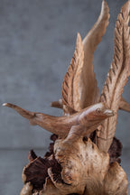 Hand-Carved Dolphin and Seaweed Wooden Sculpture from Parasite Wood