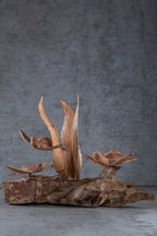 Turtle Sculpture