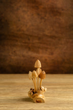 Liberty Mushroom