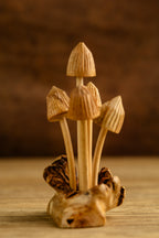 Liberty Mushroom