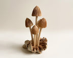 Liberty Mushroom