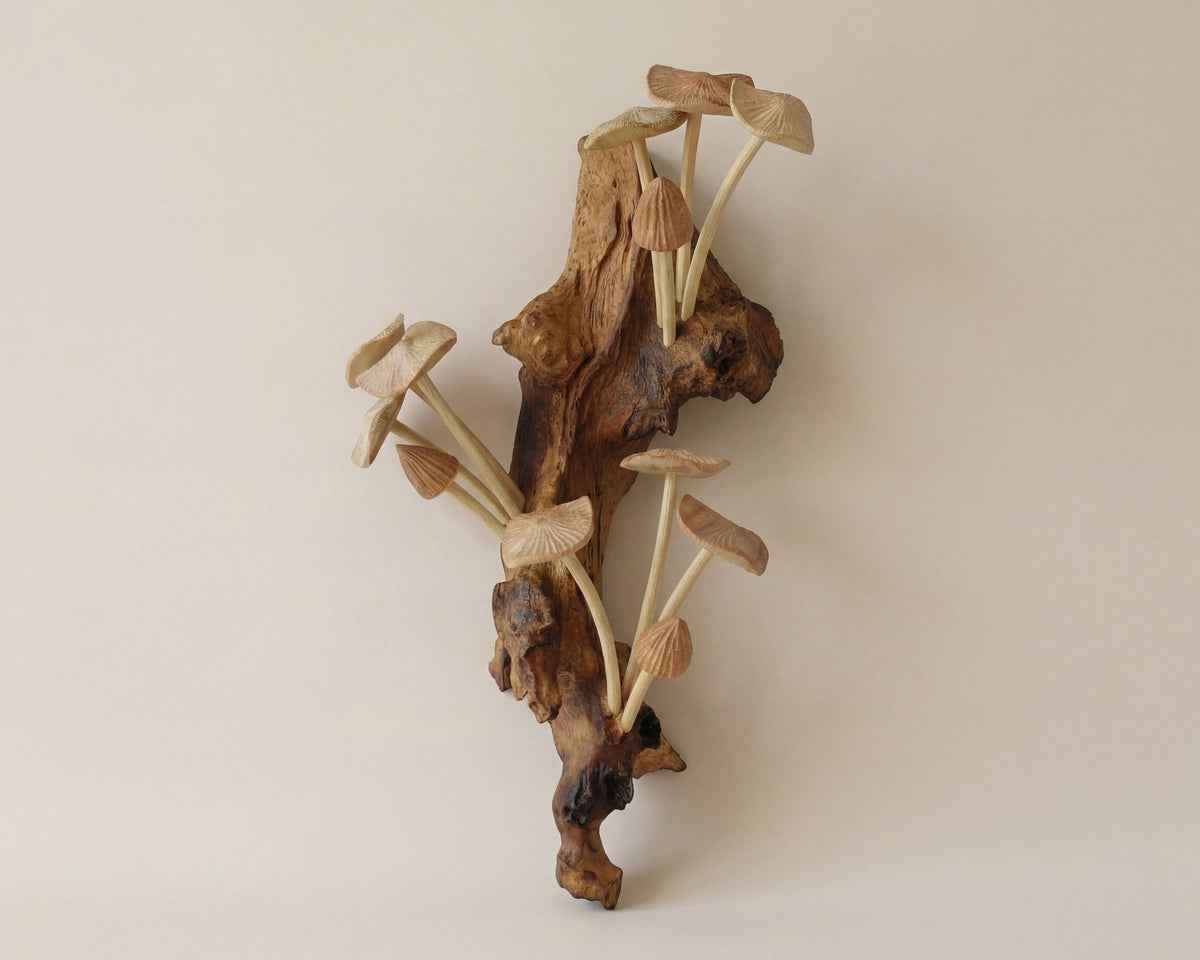 Wild mushroom wall decor