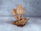 Morel Mushroom Sculpture