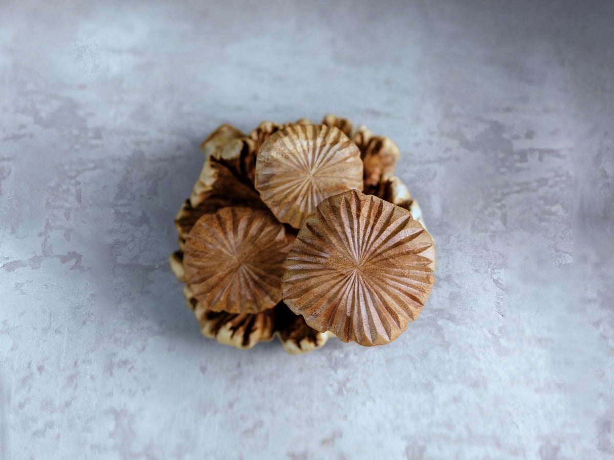 Chanterelle Mushroom Sculpture: Parasite Wood Fungi, Home Decor Wooden art