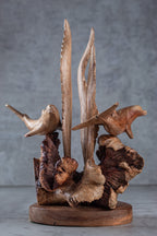 Hand-Carved Dolphin and Seaweed Wooden Sculpture from Parasite Wood