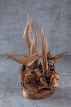 Hand-Carved Dolphin and Seaweed Wooden Sculpture from Parasite Wood