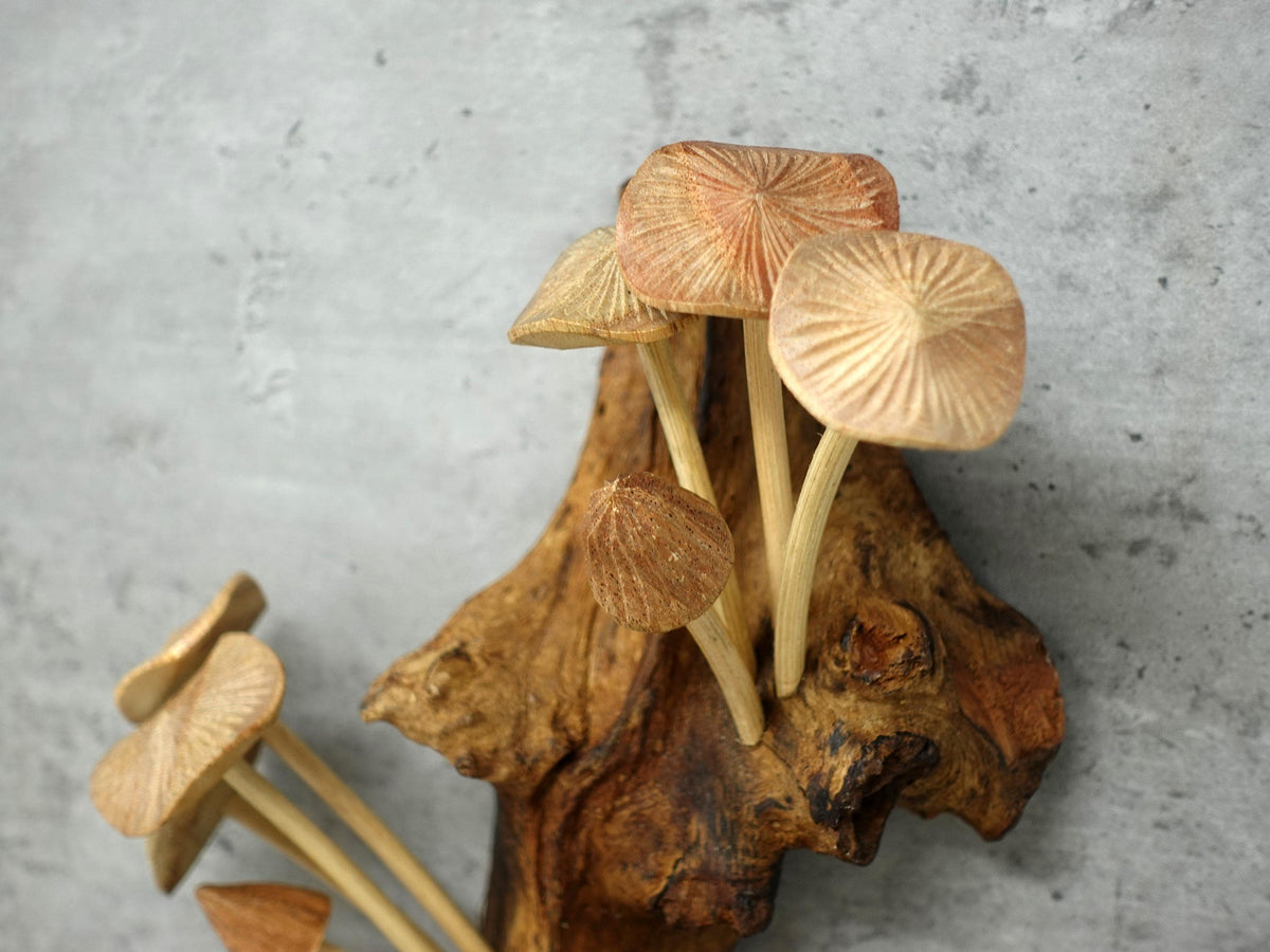 Hand-carved wooden mushroom wall sculpture