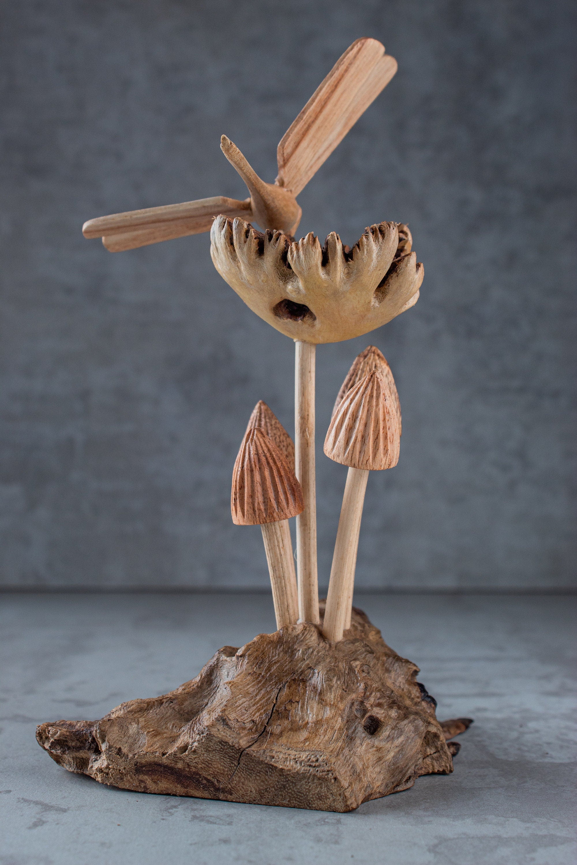 Dragonfly & Mushroom