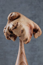 Mushroom (5")